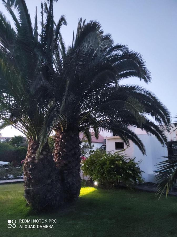 Suite La Oliva Exteriér fotografie